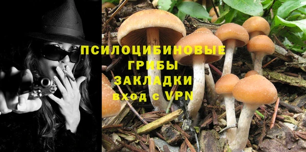 ГАЛЛЮЦИНОГЕННЫЕ ГРИБЫ Алексеевка